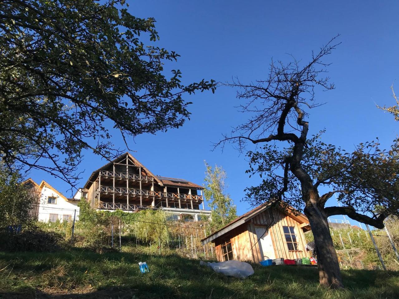 Atelier 67 Bed and Breakfast Obersaxen Εξωτερικό φωτογραφία